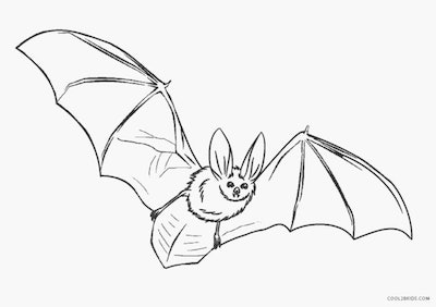 Cute bat coloring pages you can print for free