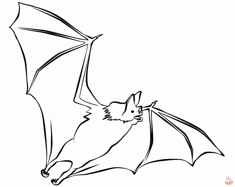 Fun and free bat coloring pages for kids