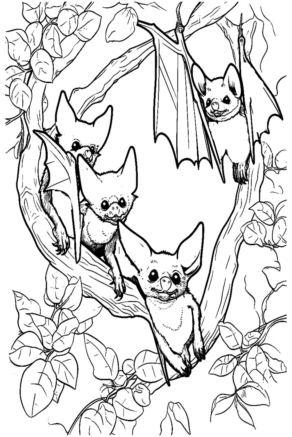 Realistic bat coloring page