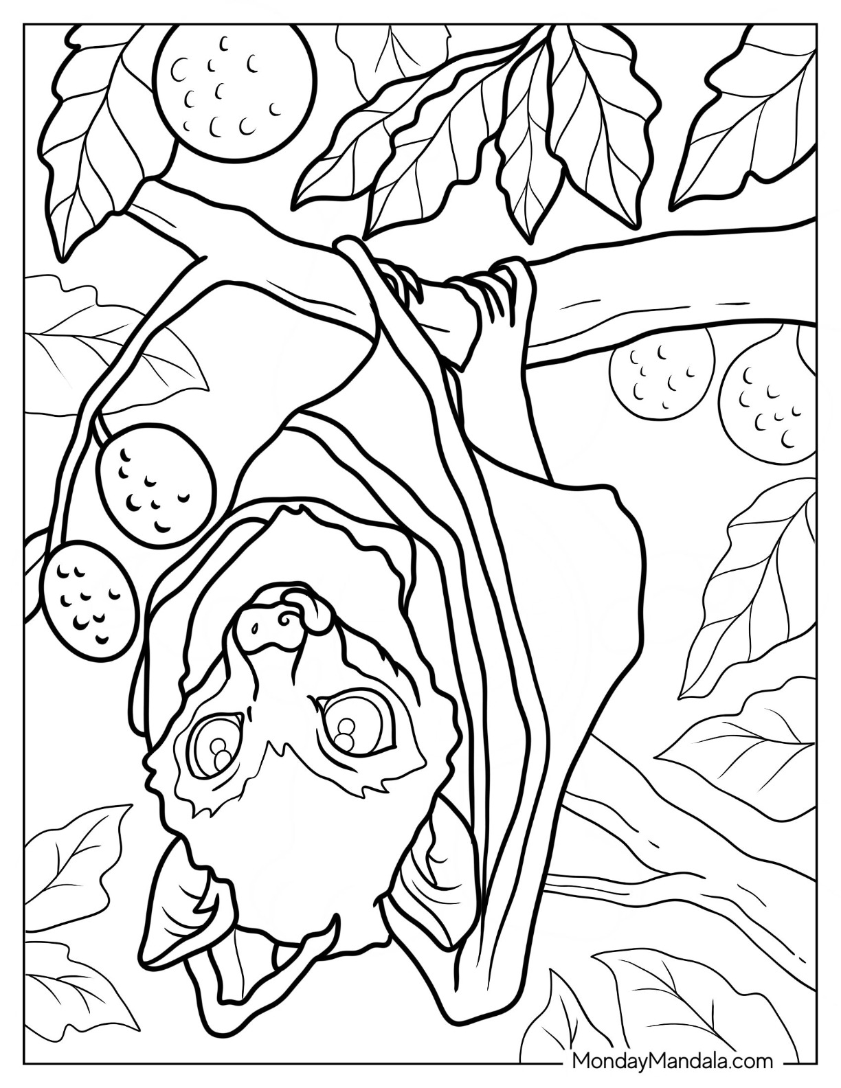 Bat coloring pages free pdf printables