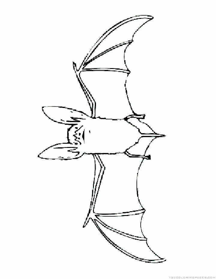 Bat coloring pages