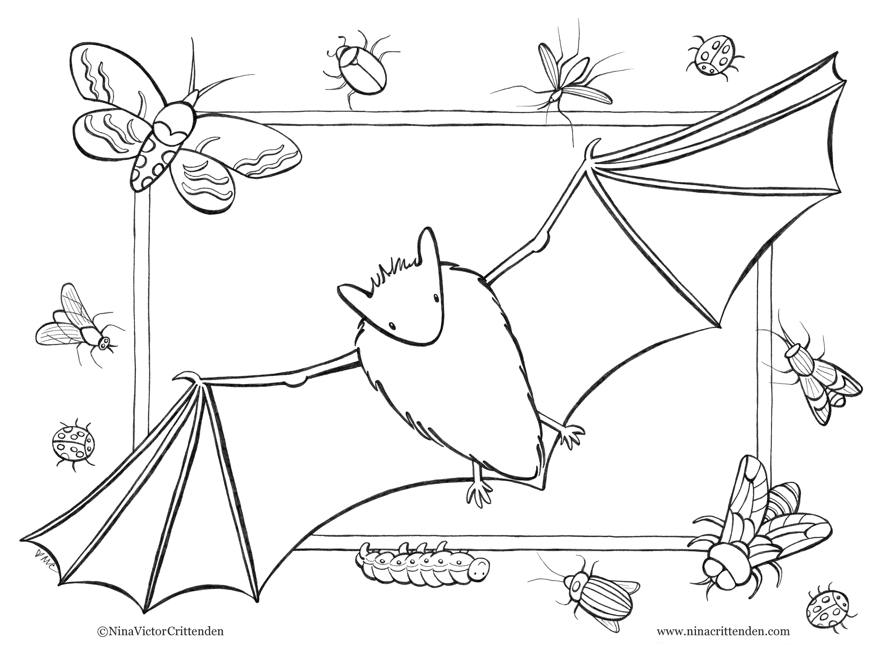 Nina crittenden artist for children coloring pages