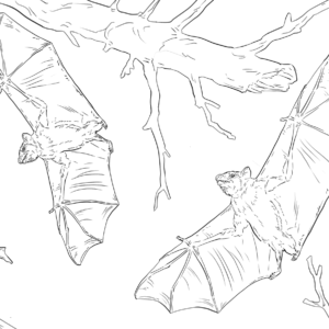 Realistic animal coloring pages printable for free download