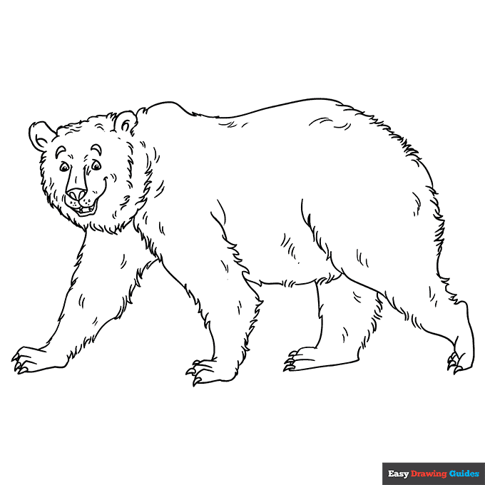 Grizzly bear coloring page easy drawing guides
