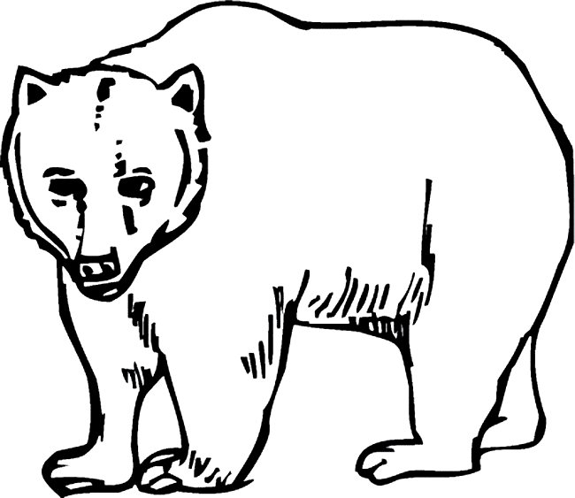 Grizzly bear coloring page