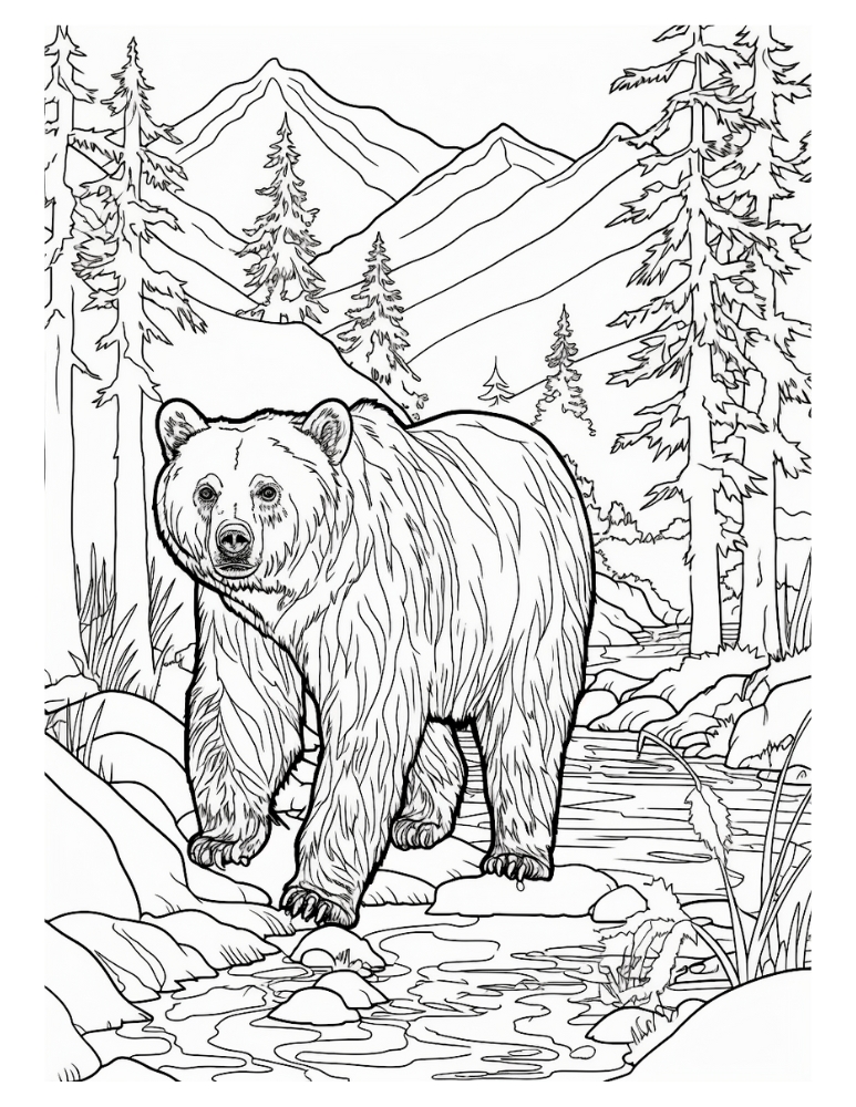 Free bear coloring pages for kids and adults