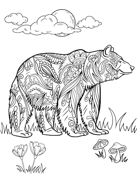 Realistic bear coloring pages images