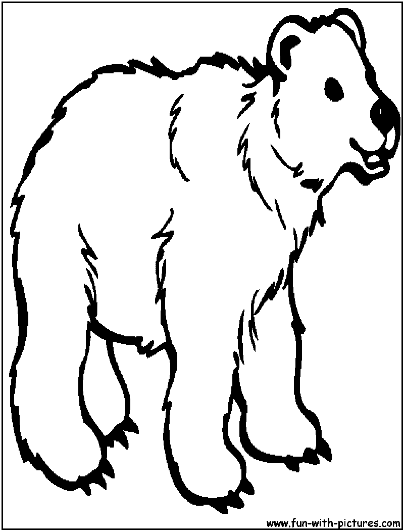Grizzly bear coloring page