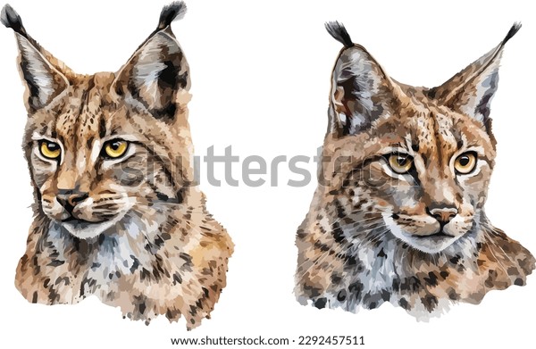 Bobcat drawing royalty