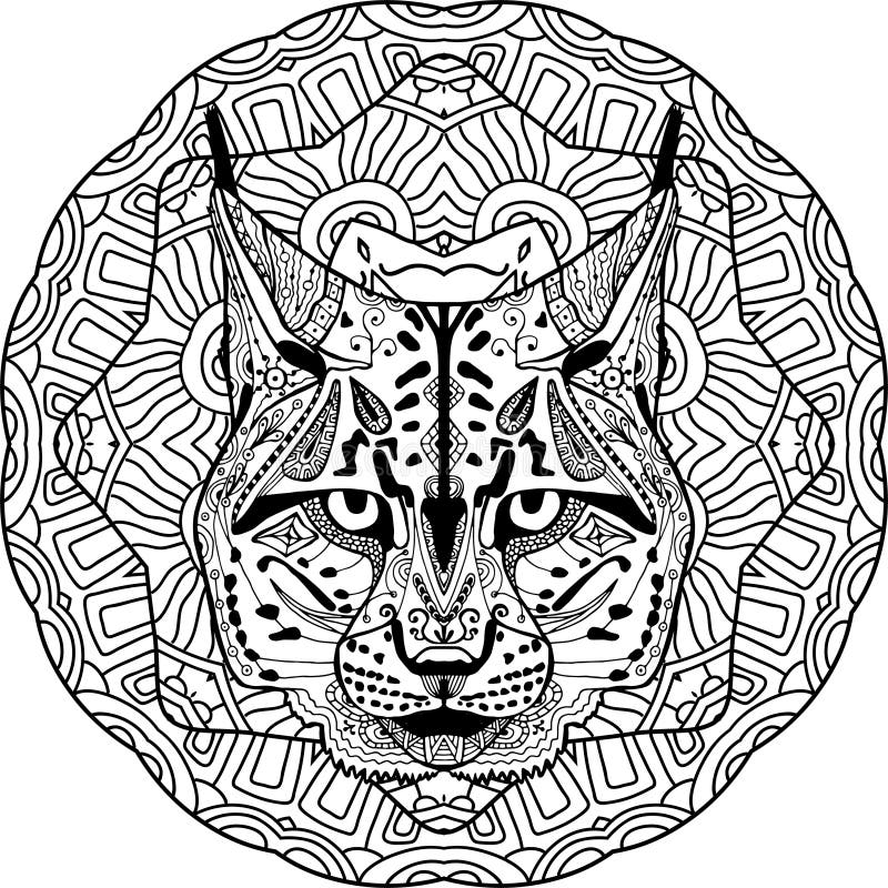 Bobcat coloring page stock illustrations â bobcat coloring page stock illustrations vectors clipart