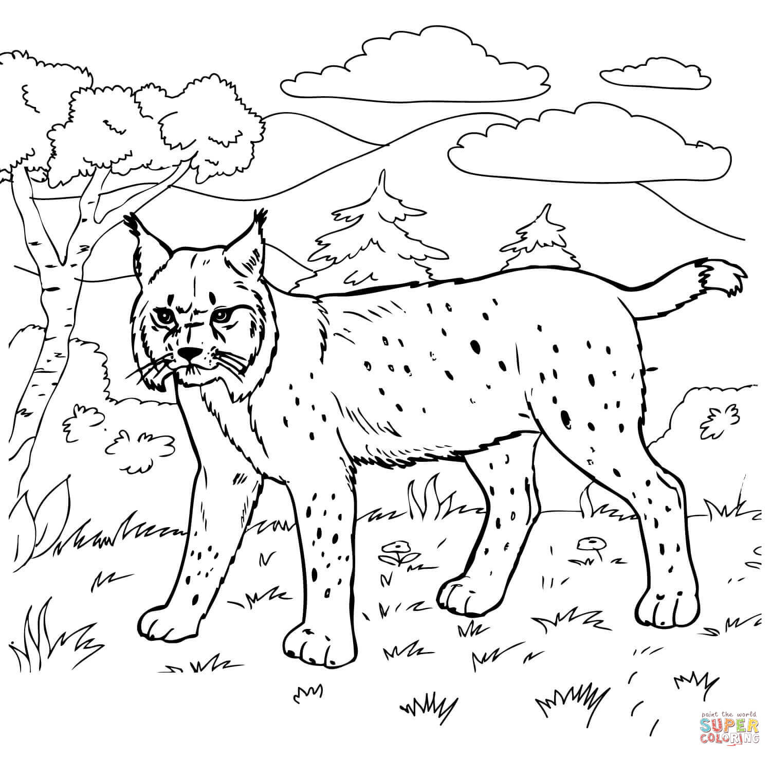 Bobcat in the forest coloring page free printable coloring pages