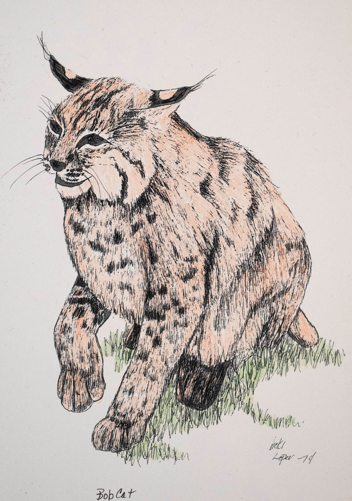 Bobcat face and bobcat full body â artsy art