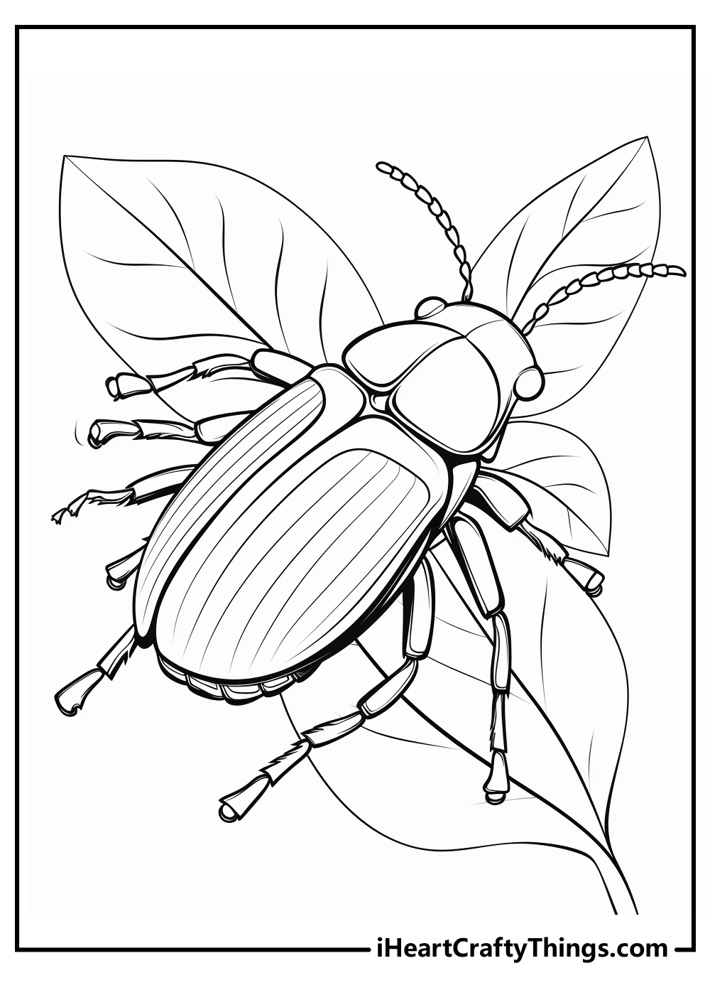Bugs coloring pages free printables