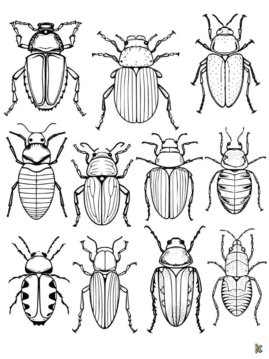 Bug coloring pages â