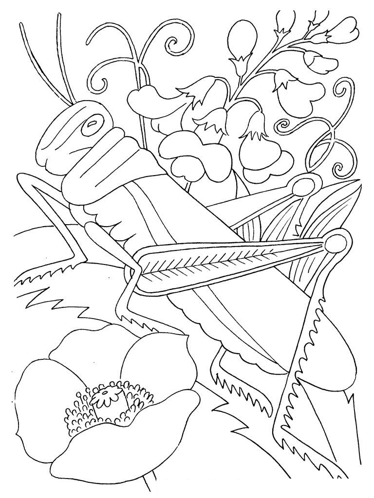 Free printable bug coloring pages for kids bee coloring pages insect coloring pages bug coloring pages