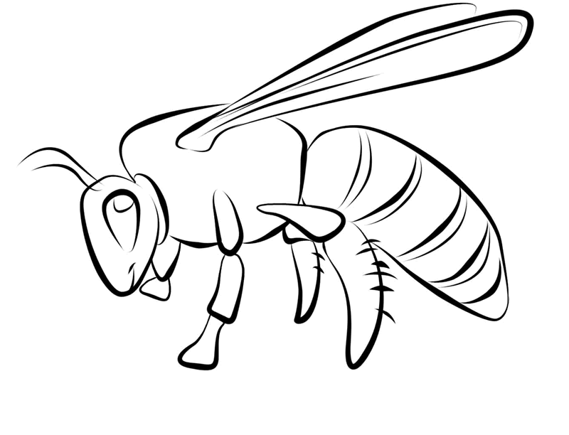 Free printable bug coloring pages for kids
