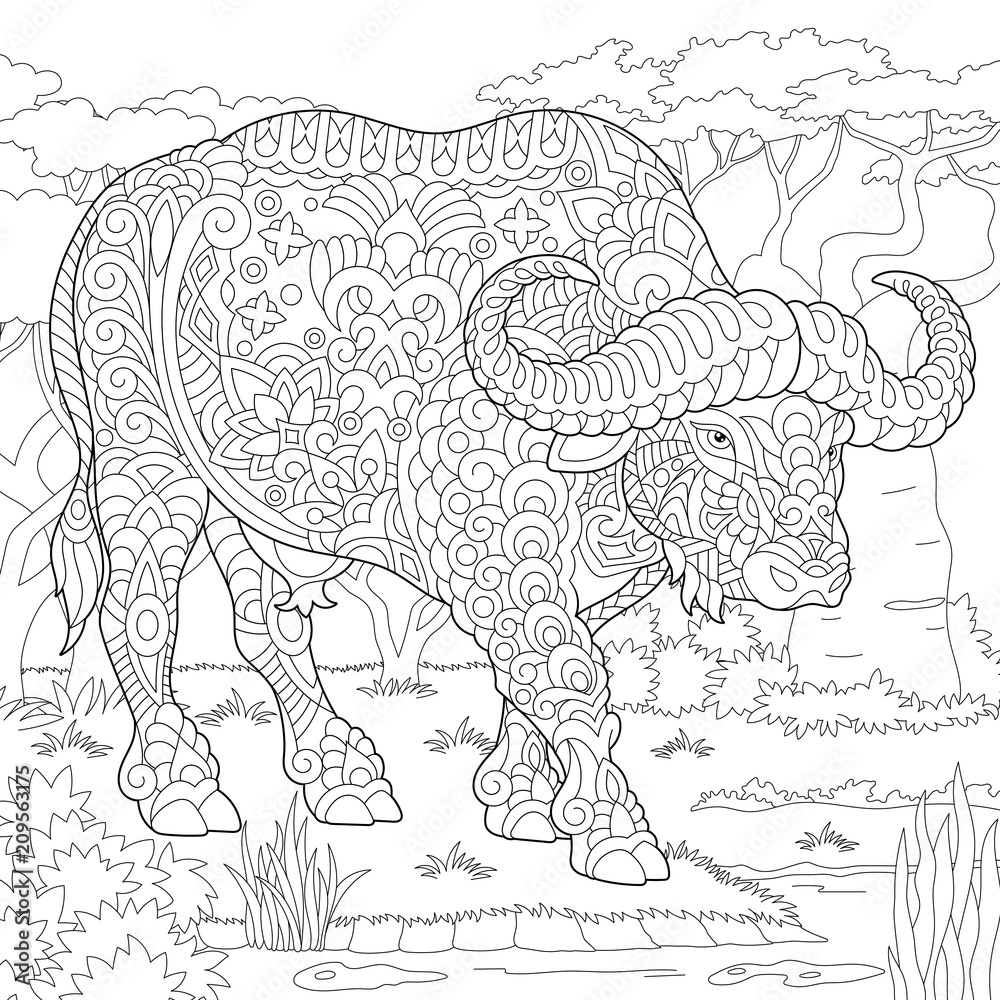Buffalo bull coloring page colouring picture adult coloring book idea vector