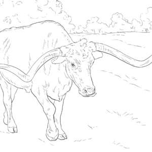 Realistic animal coloring pages printable for free download