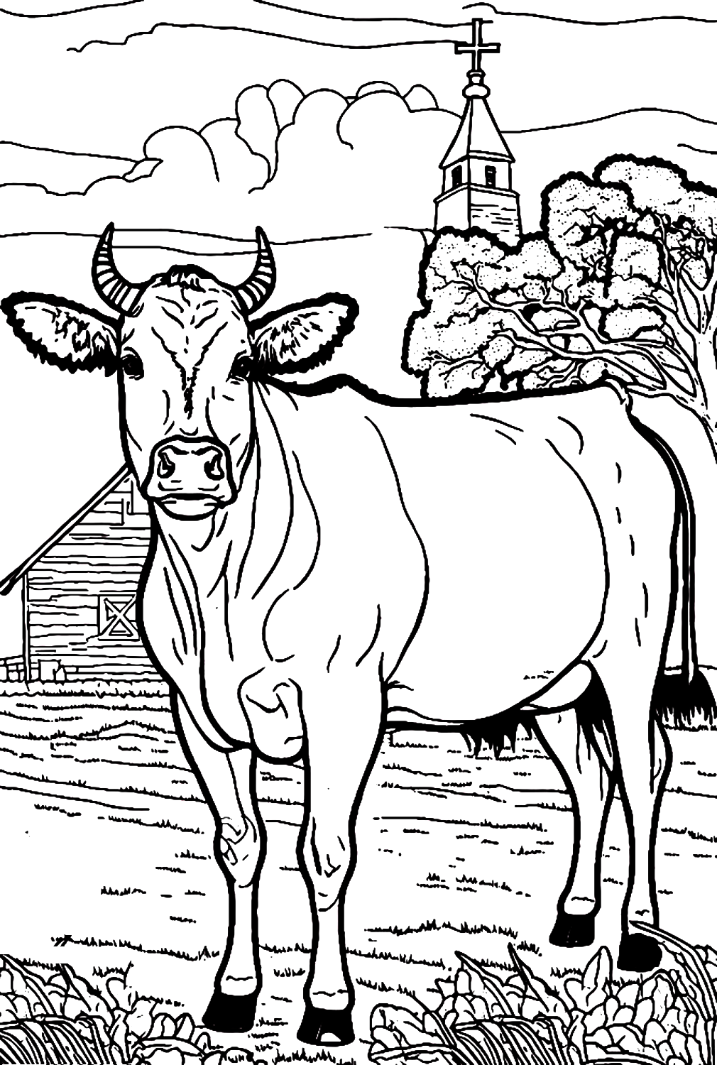 Realistic bull coloring pages