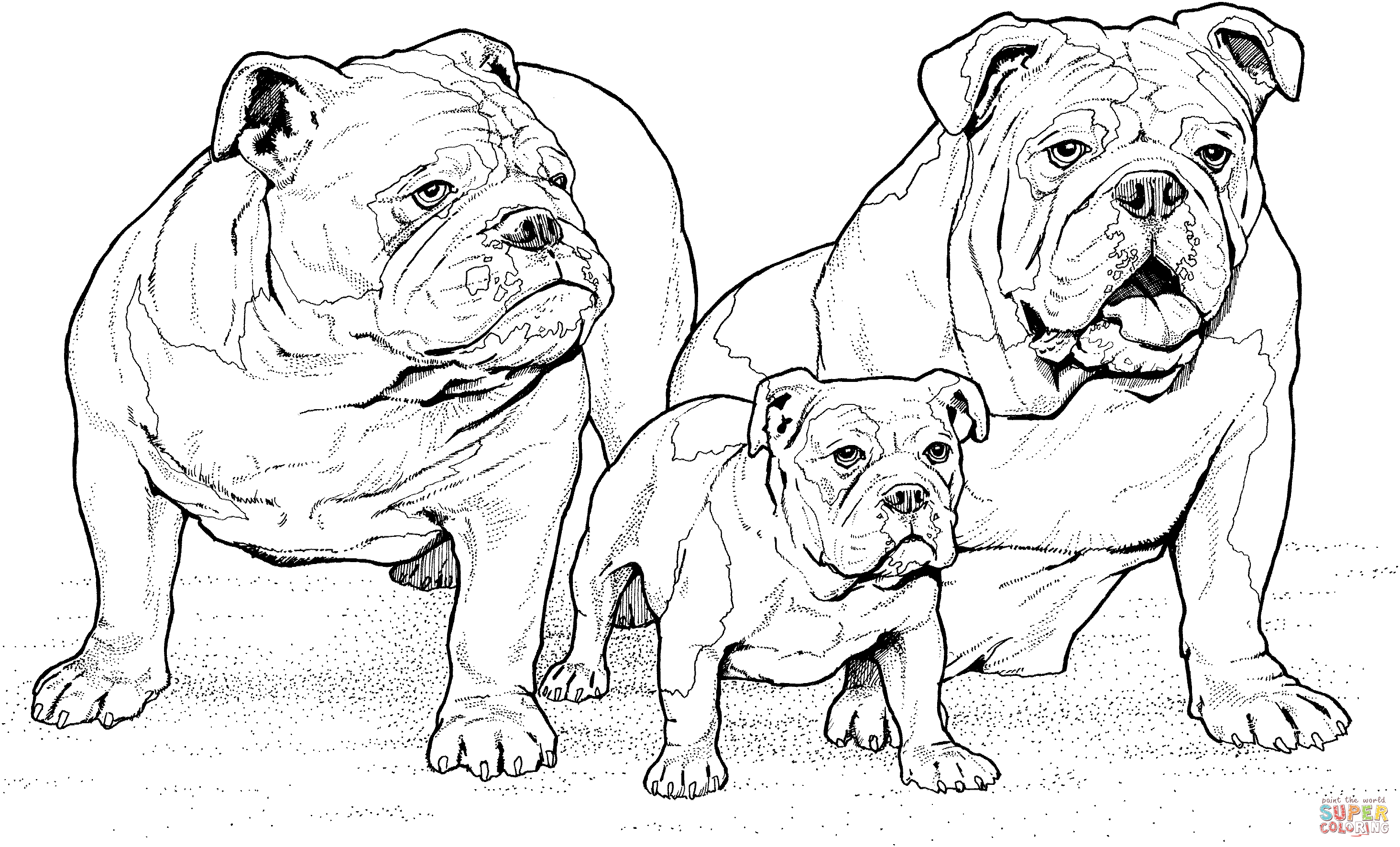 English bulldogs with puppy dog coloring page dog coloring book puppy coloring pages