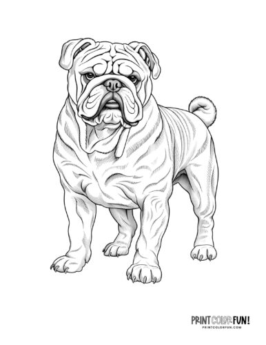 Dog coloring pages clipart pawsome activities for your little artist at
