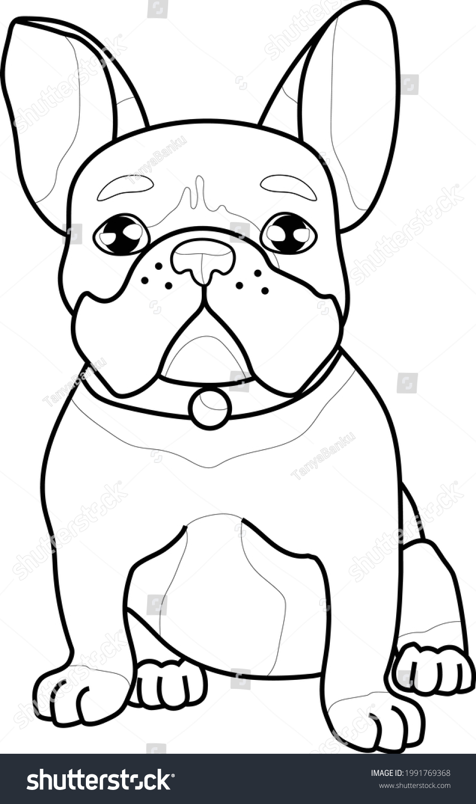 Cute realistic french bulldog sketch template stock vector royalty free