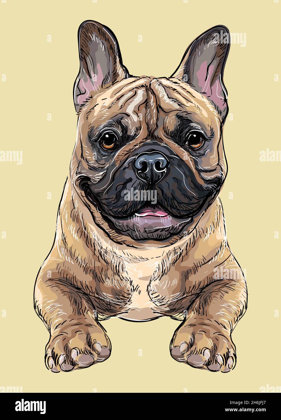 Bulldog drawing hi