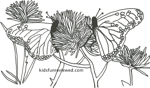 Butterfly coloring pages