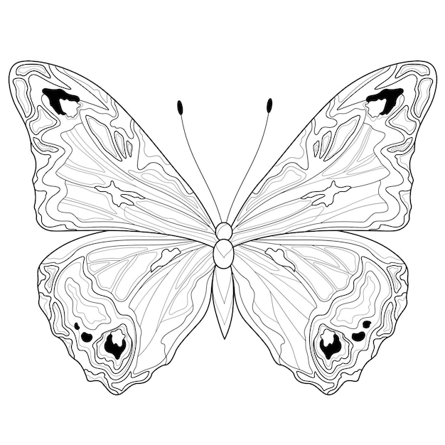 Premium vector butterflycoloring book antistress for children and adults illustration isolated on white background