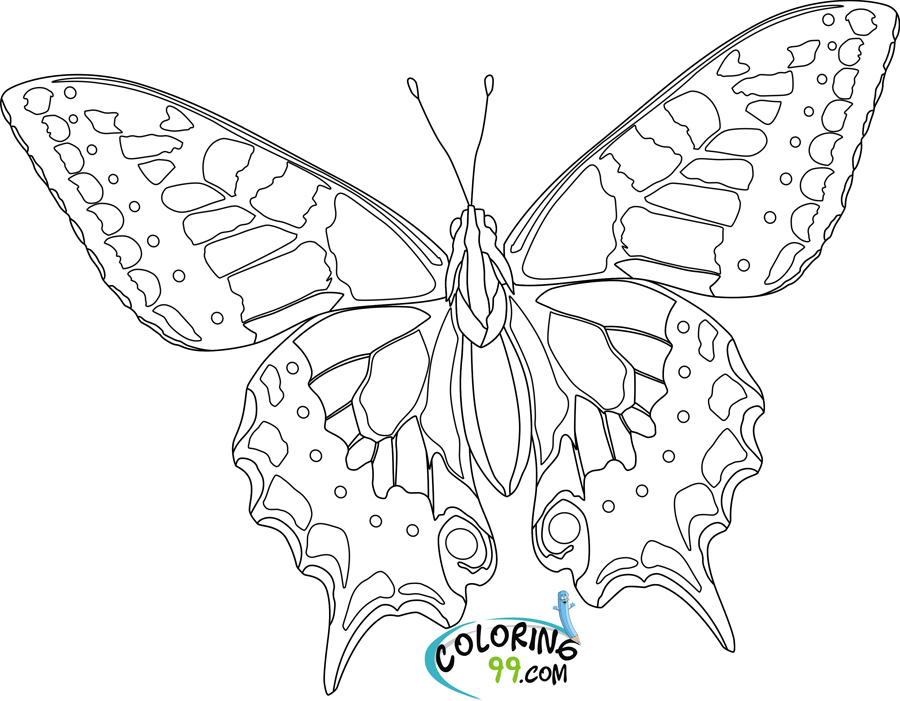 Butterfly coloring pages team colors