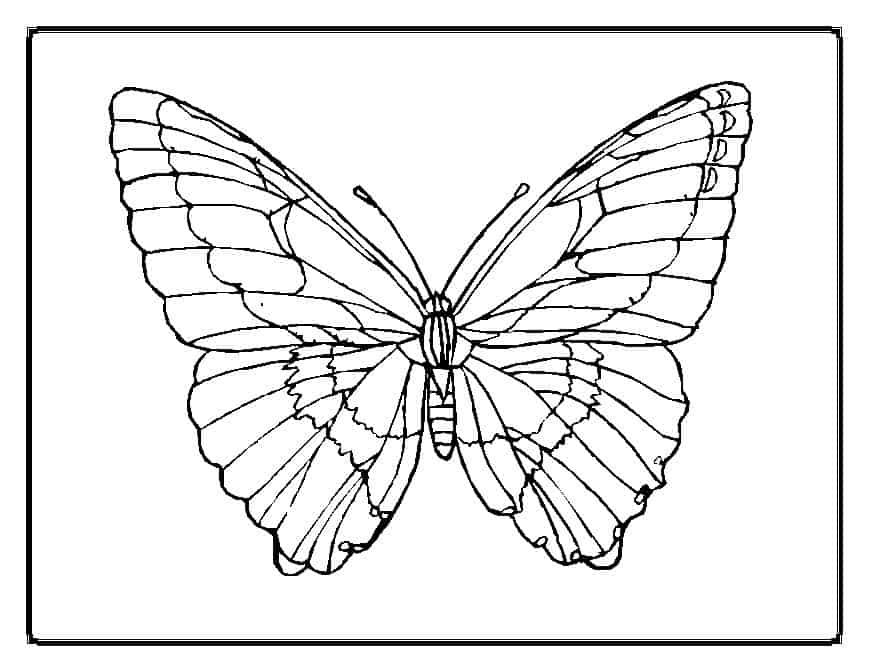Your kids will love these butterfly coloring pages