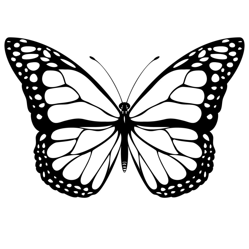 Free realistic butterfly download free realistic butterfly png images free cliparts on clipart library