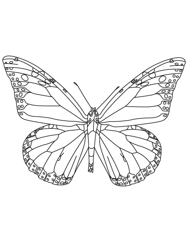 Alabama state insect monarch butterfly download free alabama state insect monarch butterfly for kids best coloring pages