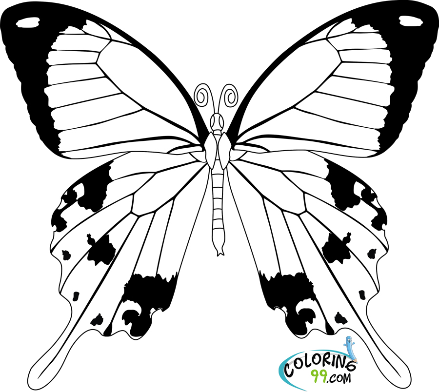 Butterfly coloring pages team colors