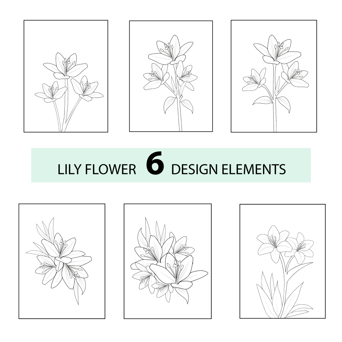 Pencil realistic calla lily drawing sketch realistic lily drawing lily line drawing lily flower vector