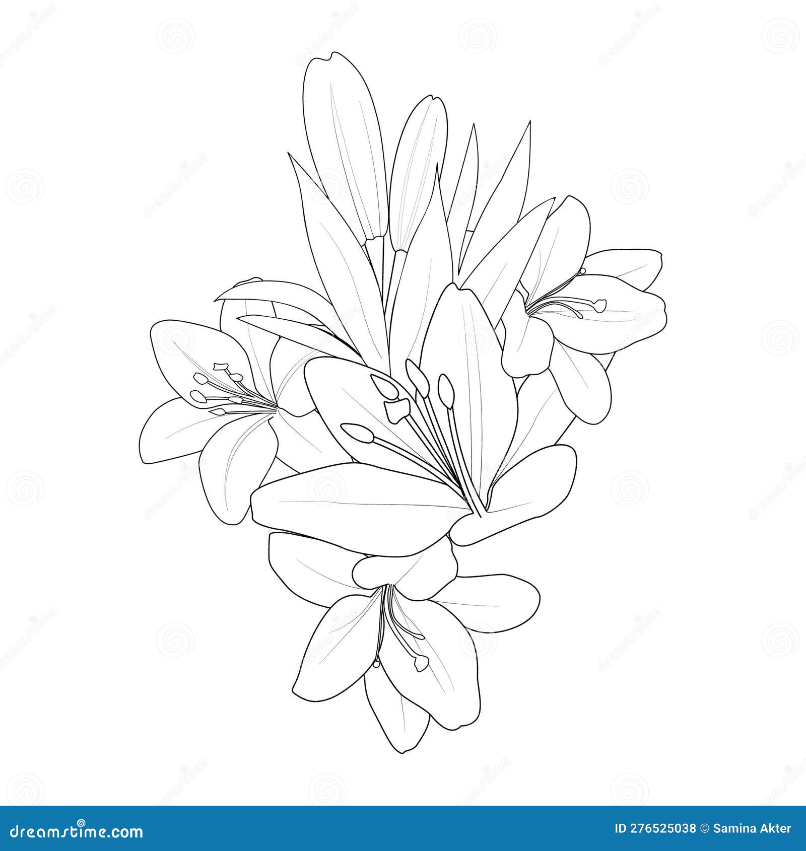 Pencil realistic calla lily drawing sketch realistic lily drawing flower cluster drawing easy flower coloring pages stock vector