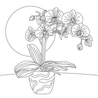 Page calla lily line drawing images