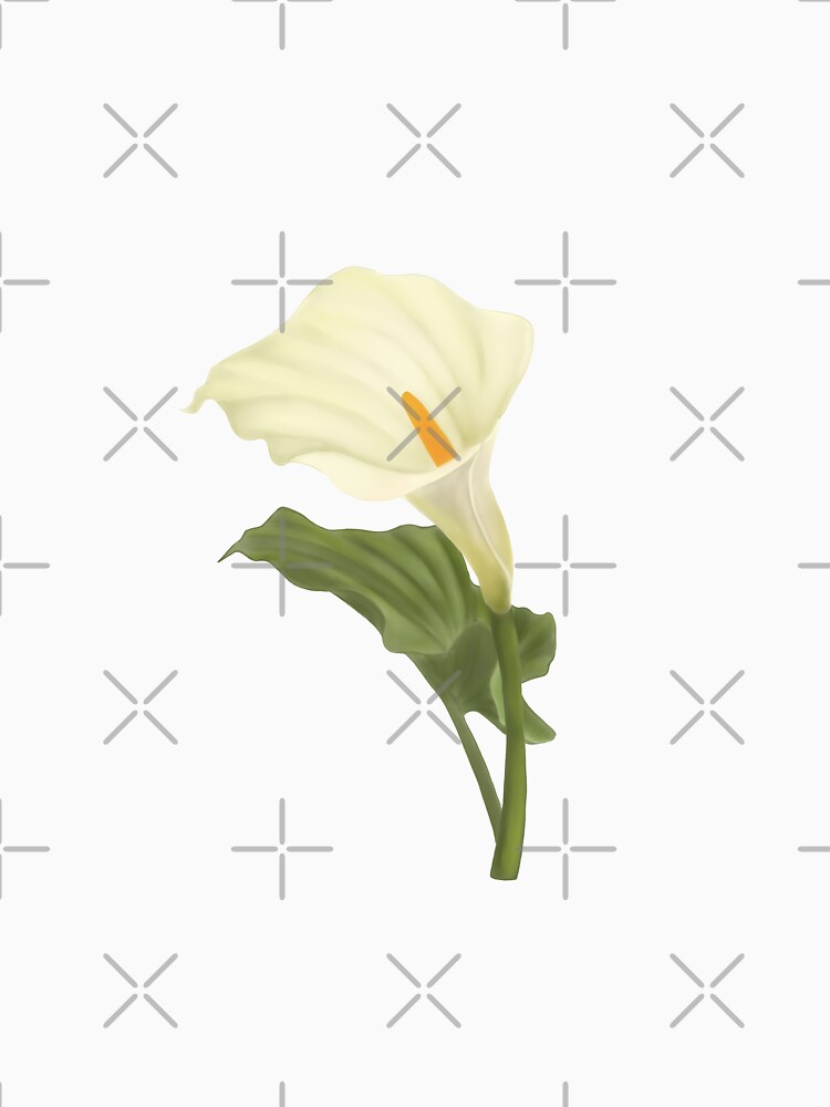 Stunning calla lily realistic botnical drawing essential t