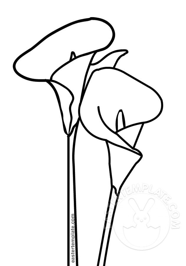Calla lilies coloring page