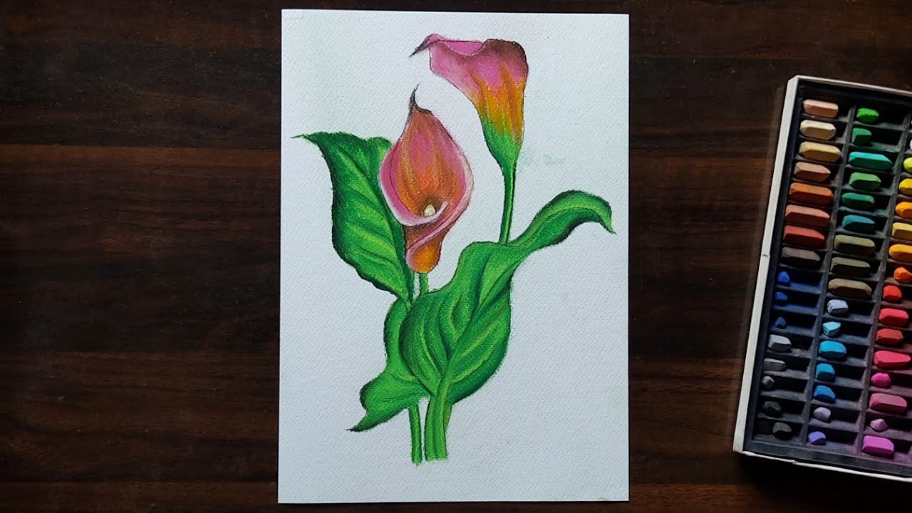 How to draw calla lily flowers soft pastel drawing for beginners