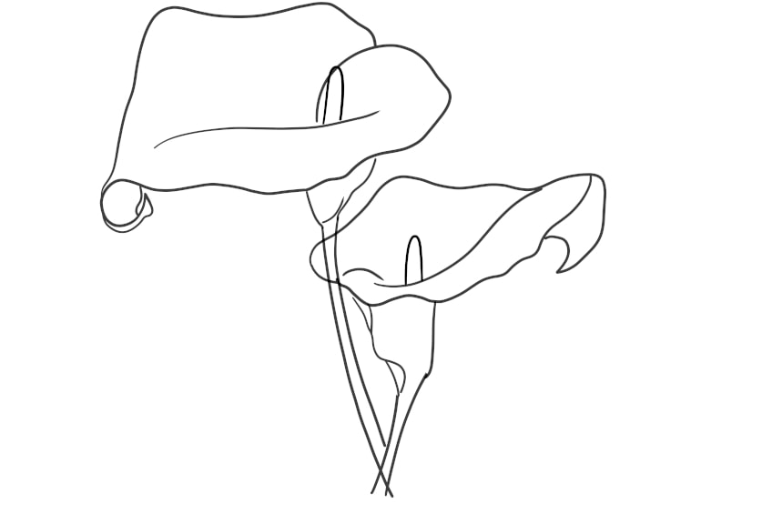 Flower coloring pages