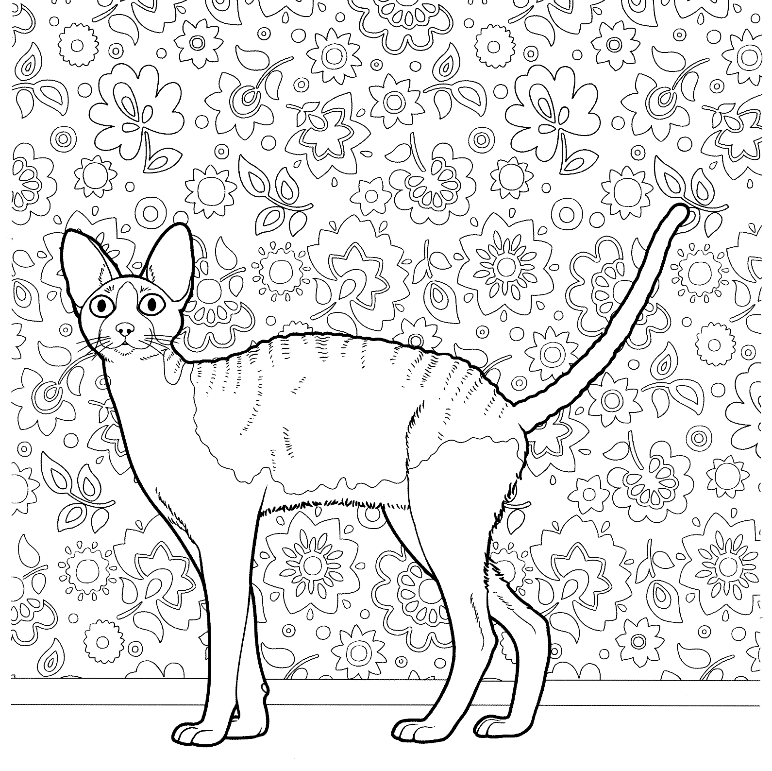 Cat coloring pages for adults