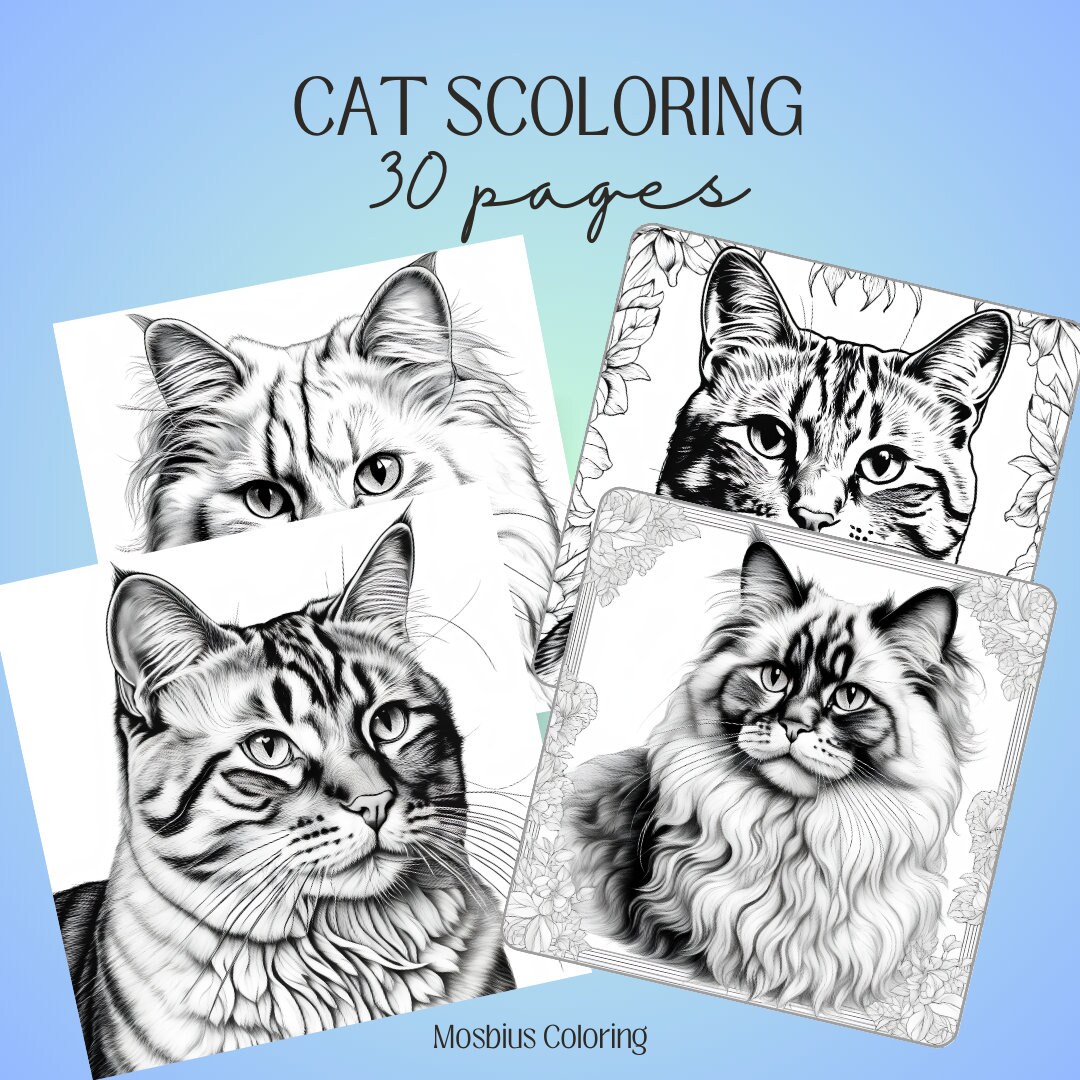 Realistic cats coloring pages adult colouring sheet feline color book relaxing painting page busy book line art pdf coloring book