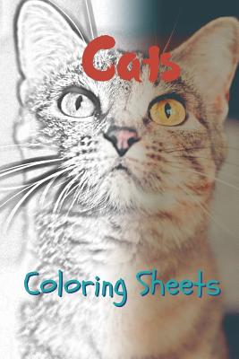 Cat coloring sheets cat drawings coloring sheets adults relaxation coloring book for kids for girls volume paperback murder by the book