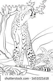 Thousand cheetah color royalty
