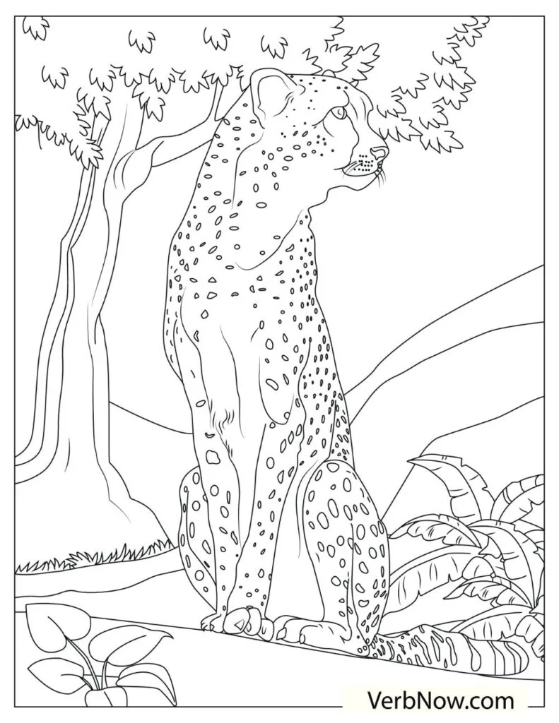 Free cheetah coloring pages for download printable pdf