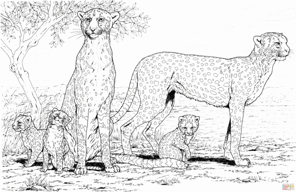 Get this cheetah coloring pages free ahrm
