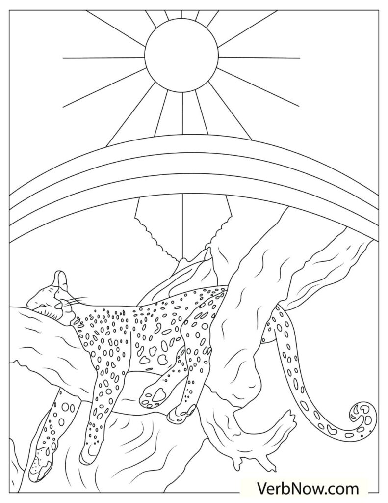Free cheetah coloring pages for download printable pdf