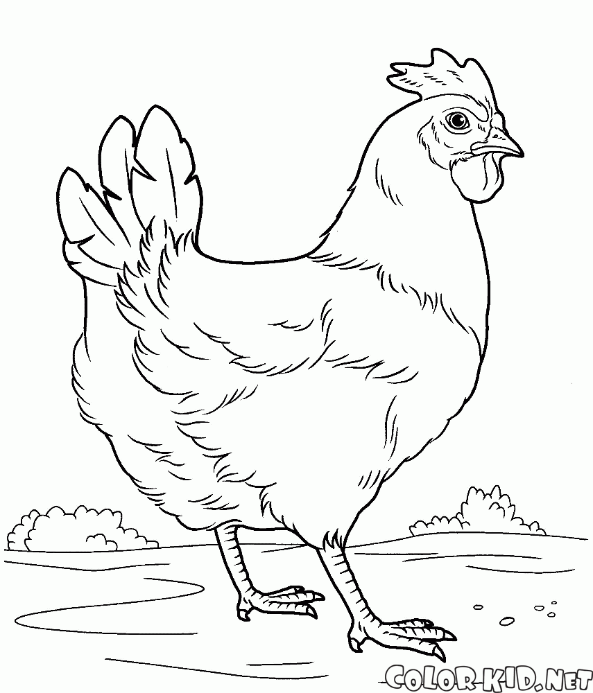 Coloring page