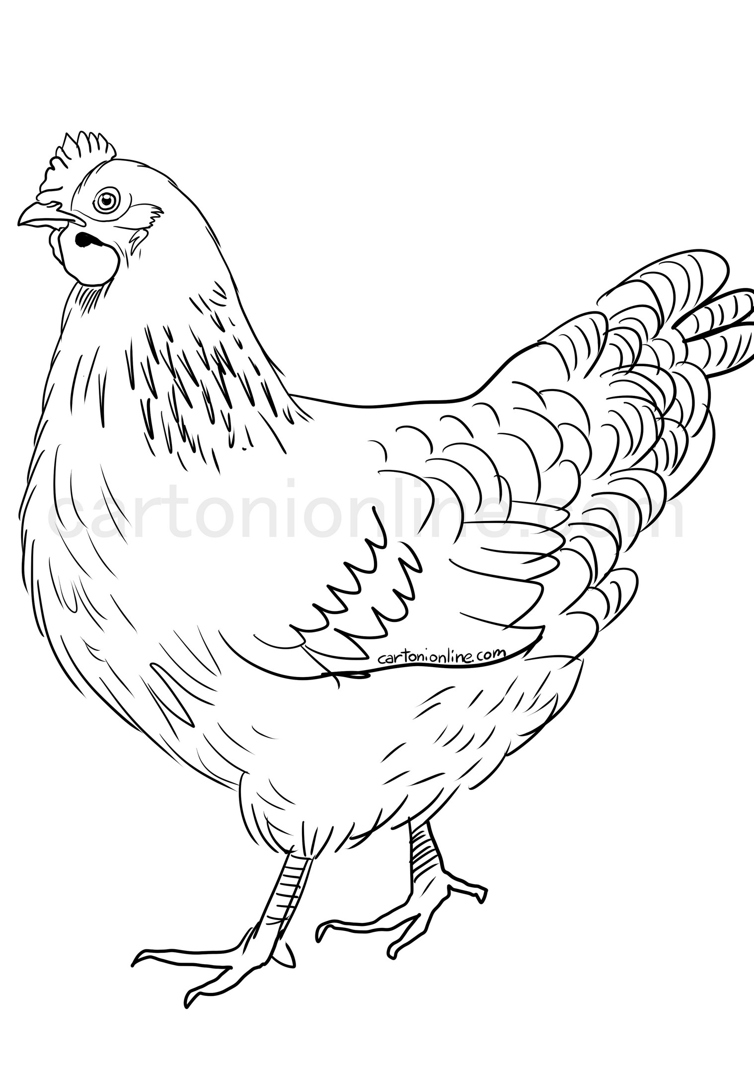 Realistic hen coloring page